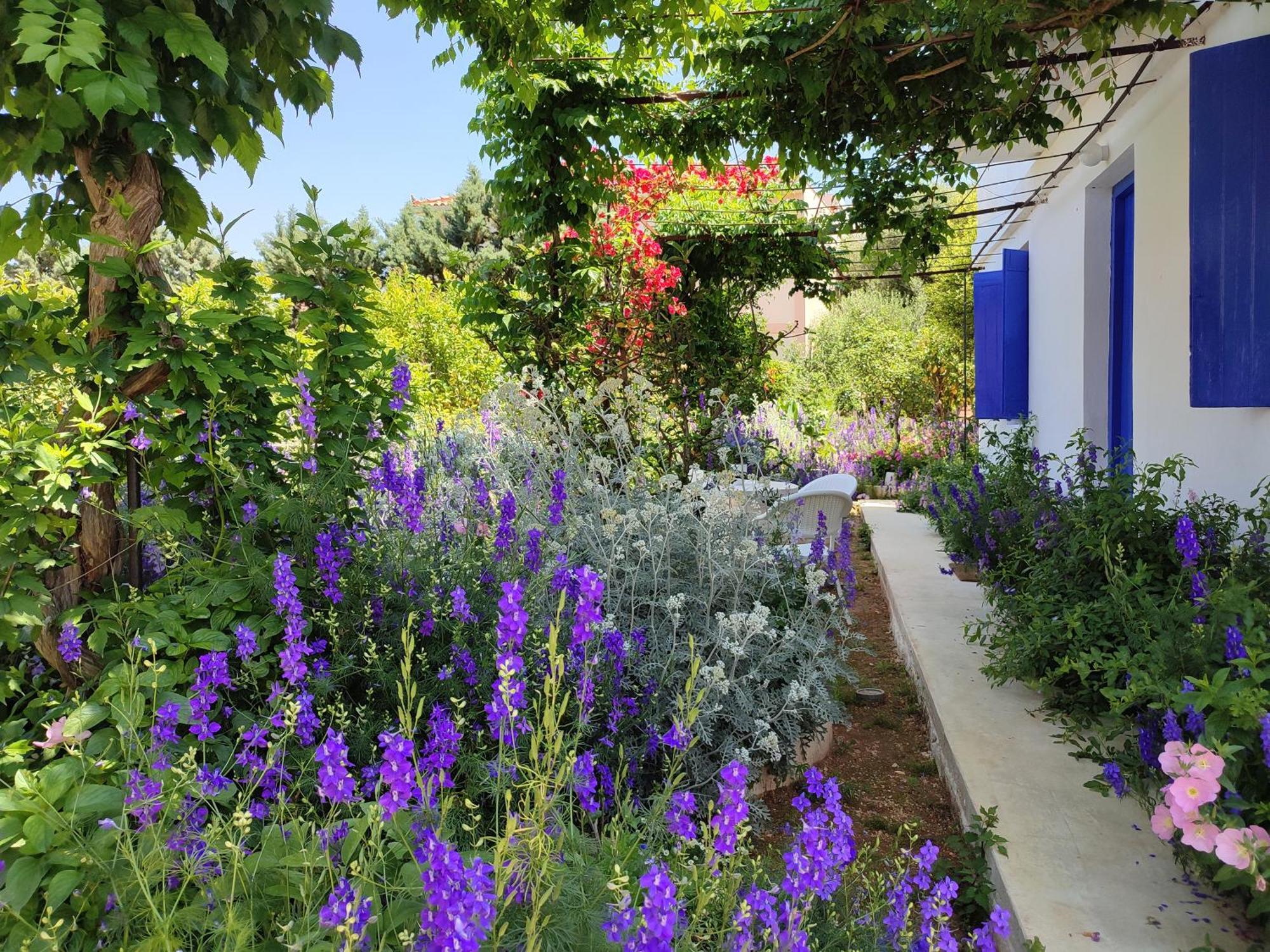 Anticlea II Βίλα Βαθύ Εξωτερικό φωτογραφία