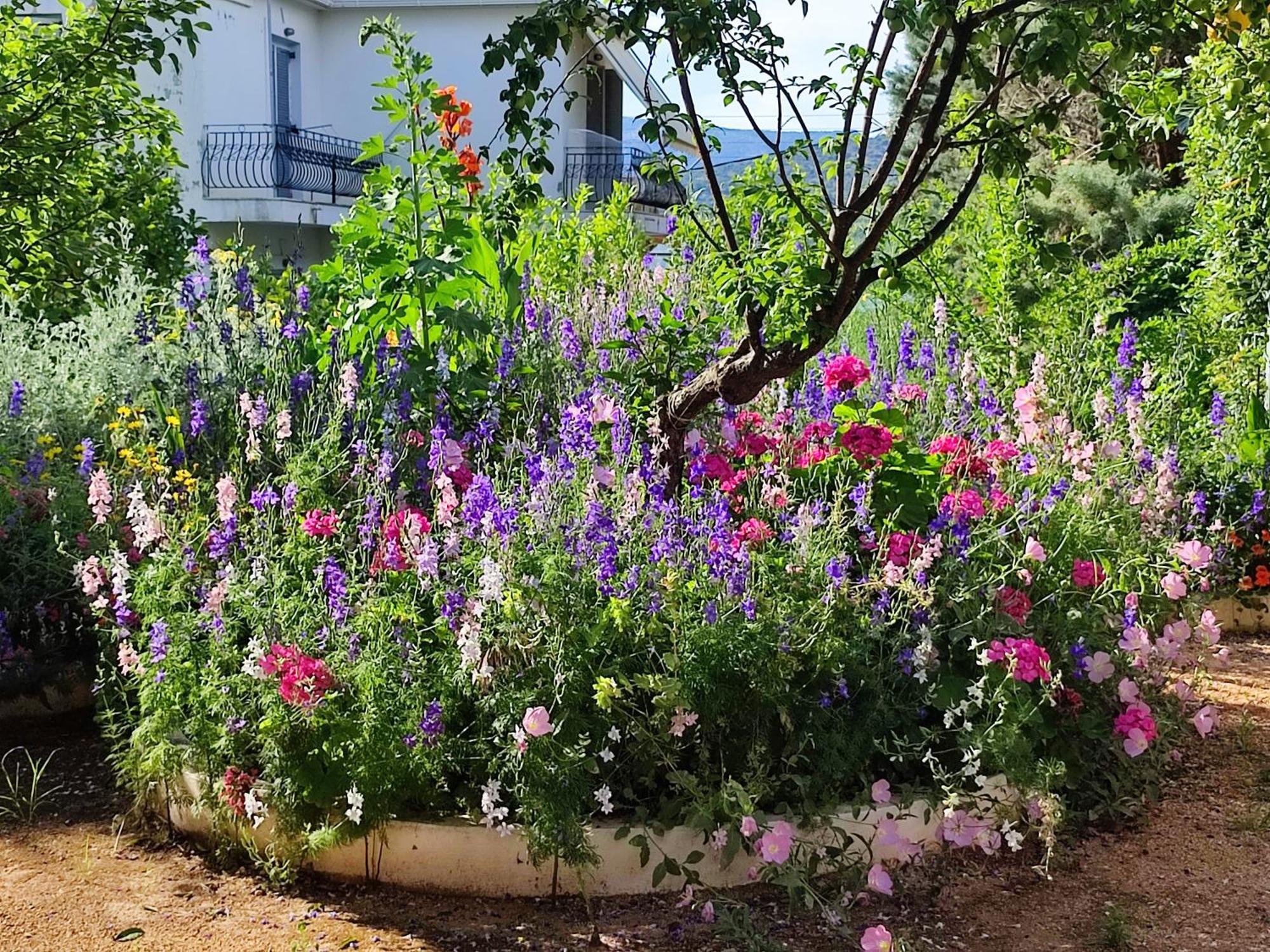 Anticlea II Βίλα Βαθύ Εξωτερικό φωτογραφία