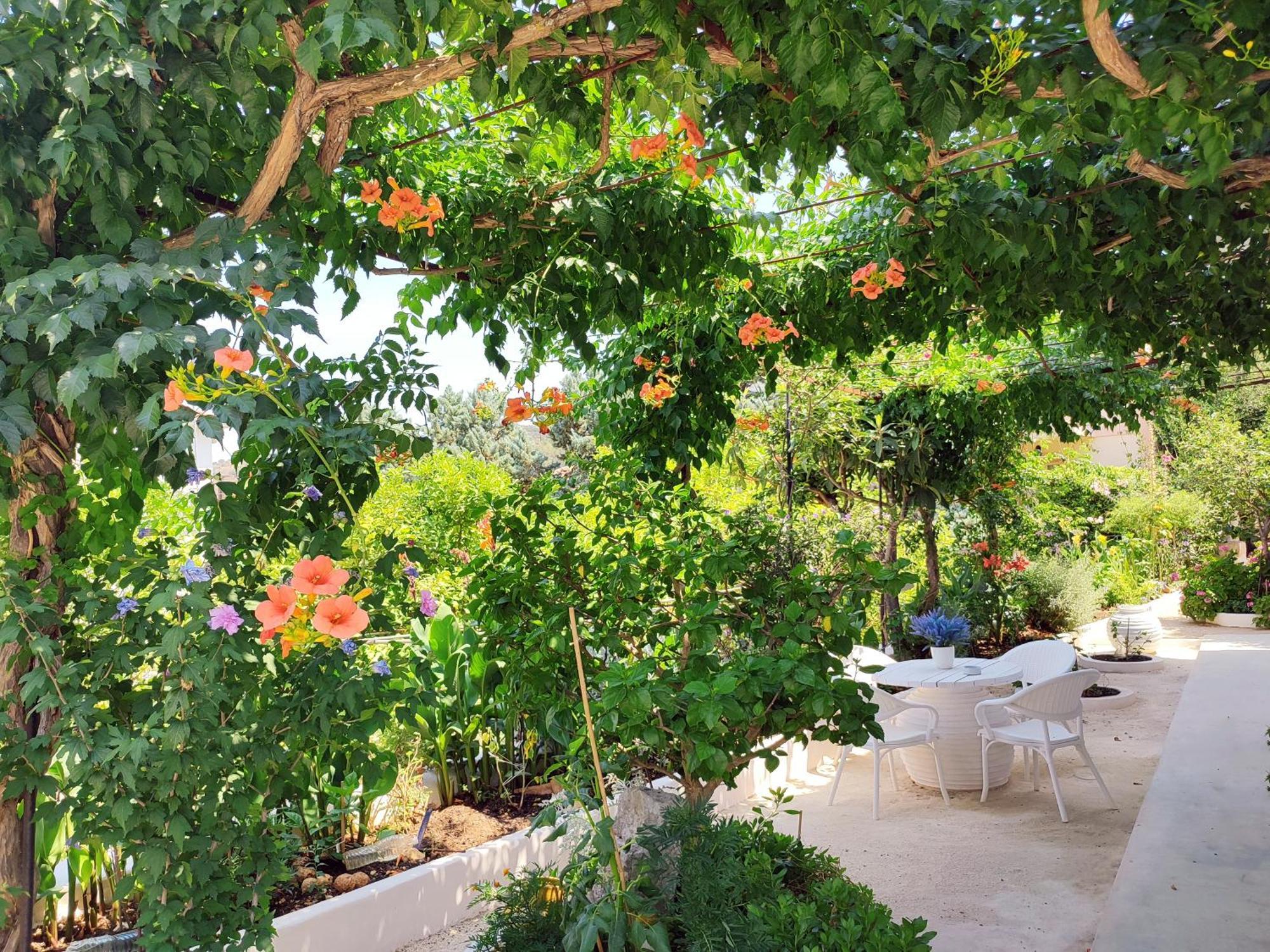 Anticlea II Βίλα Βαθύ Εξωτερικό φωτογραφία