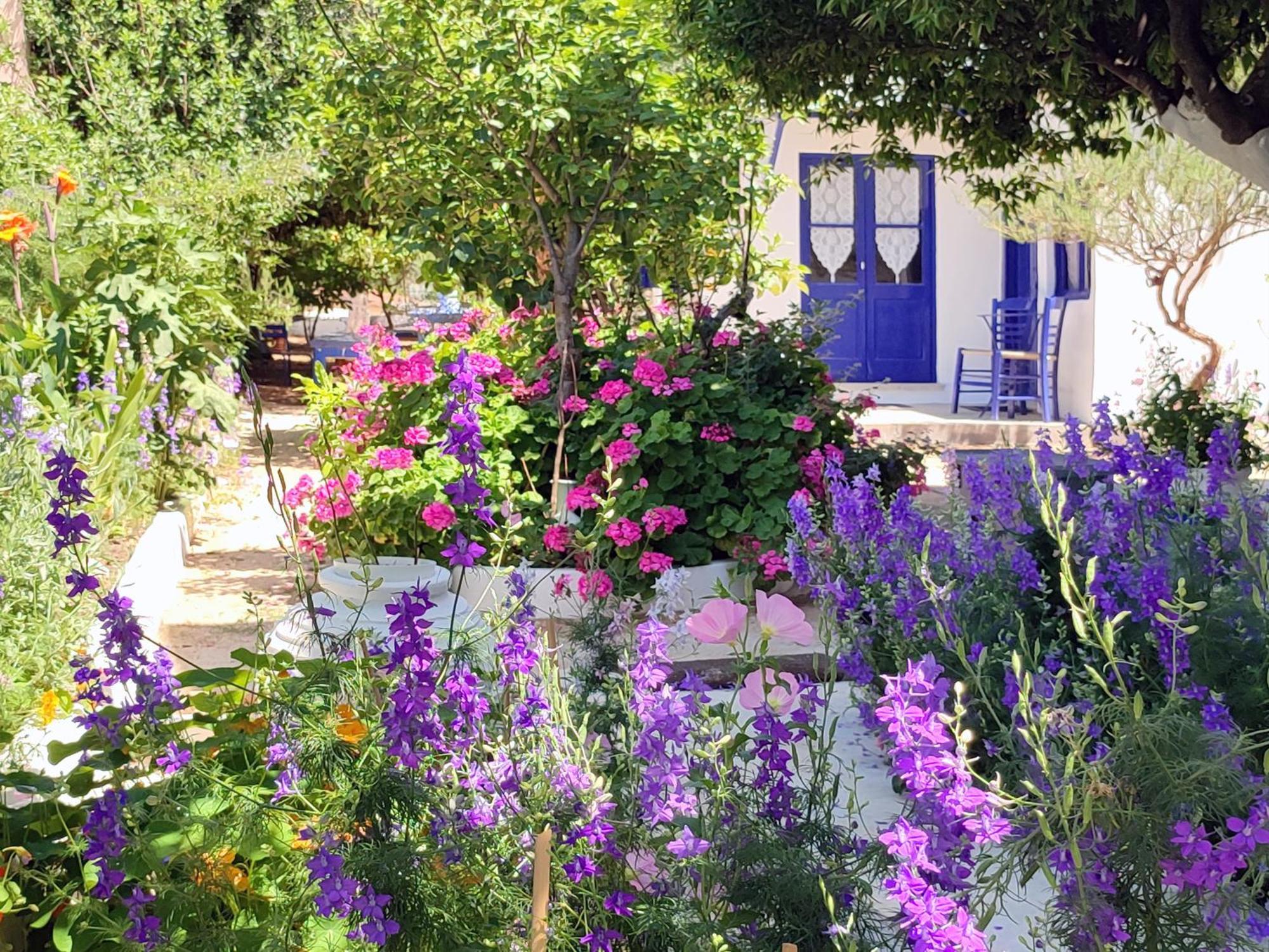 Anticlea II Βίλα Βαθύ Εξωτερικό φωτογραφία