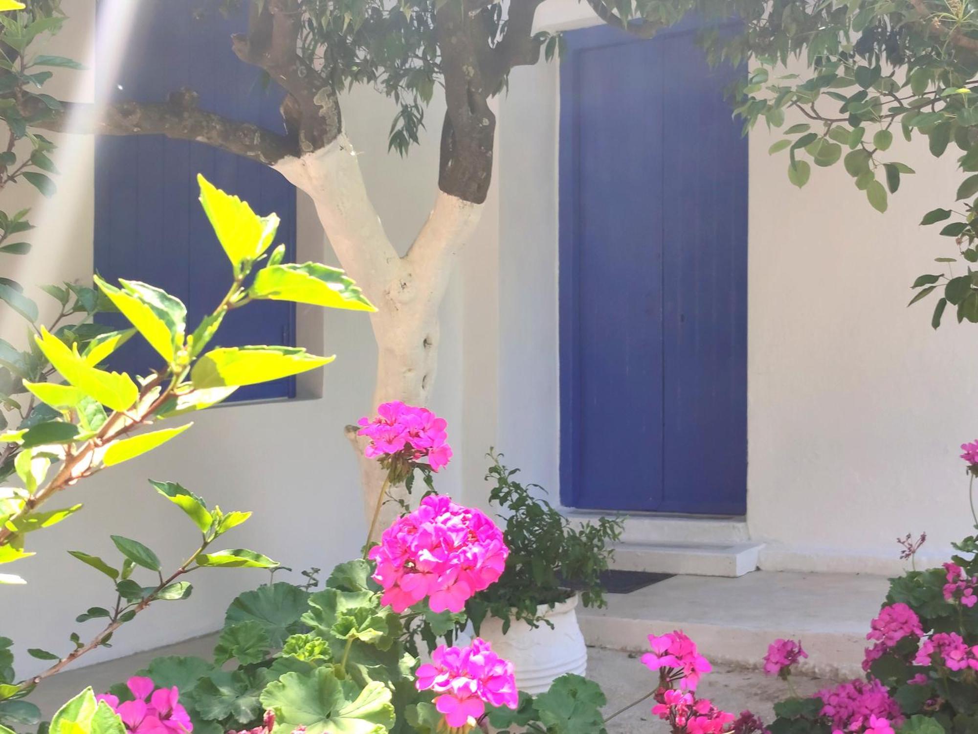 Anticlea II Βίλα Βαθύ Εξωτερικό φωτογραφία