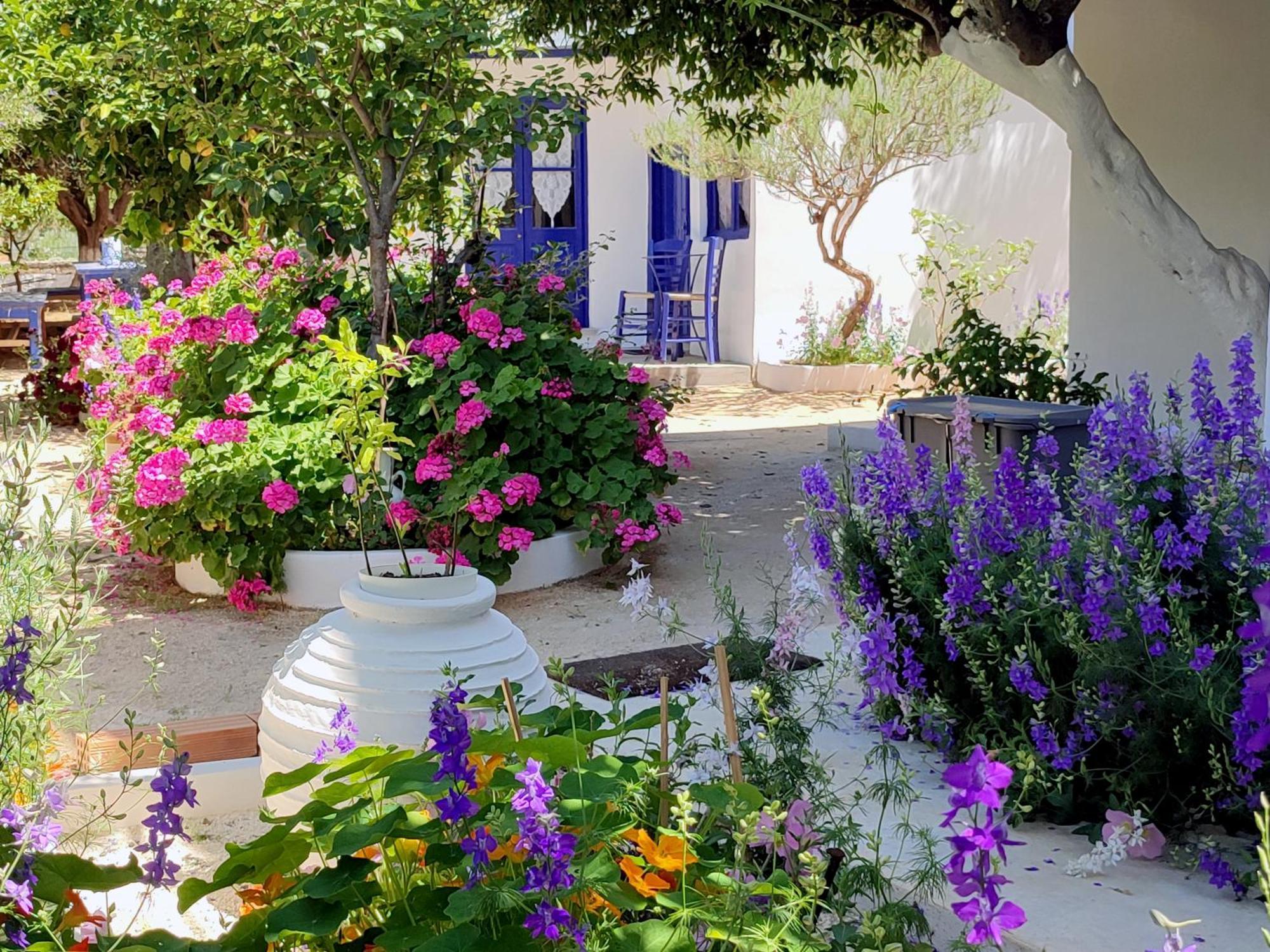 Anticlea II Βίλα Βαθύ Εξωτερικό φωτογραφία